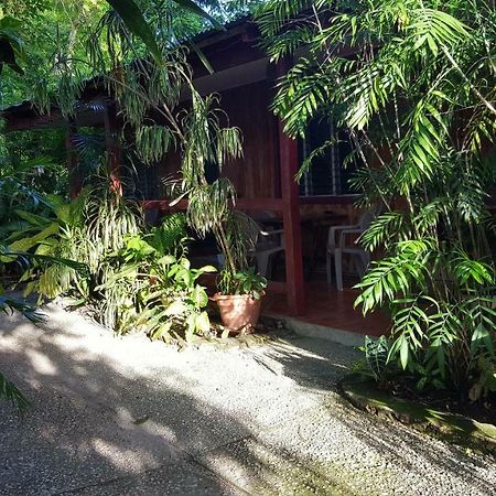 Guest House Posada Ixchel El Remate Eksteriør billede