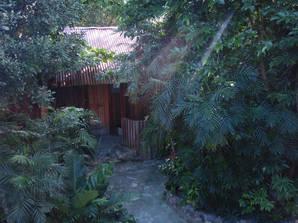 Guest House Posada Ixchel El Remate Eksteriør billede